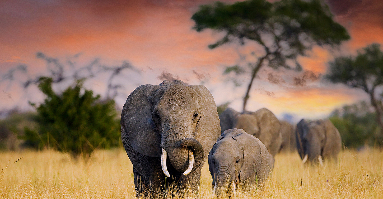 Plan Your Tanzania Trip