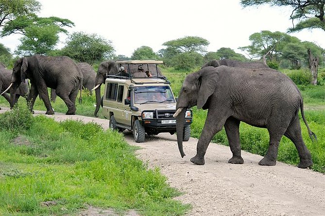 Arusha City Tour route area