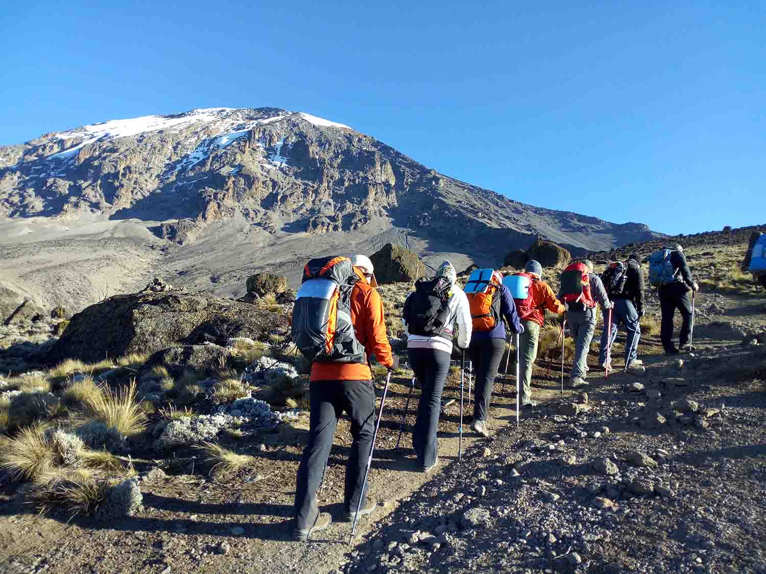 Kilimanjaro Trekking Routes From Moshi, Tanzania
