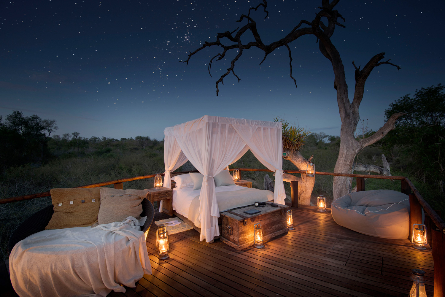 Experience the Wild Heart of Tanzania