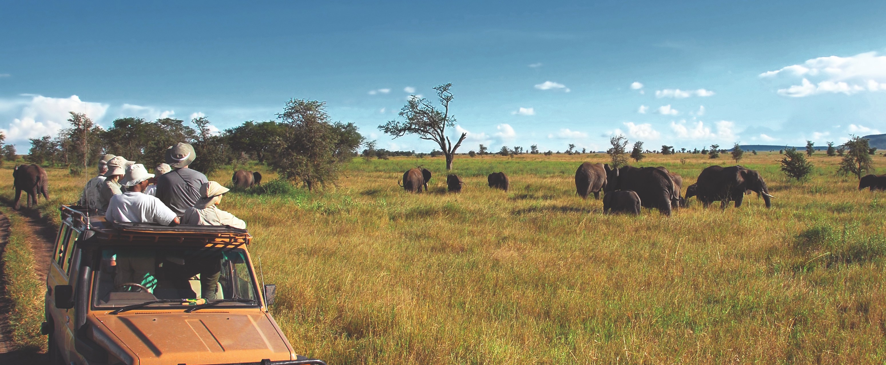 Serengeti vs Ngorongoro